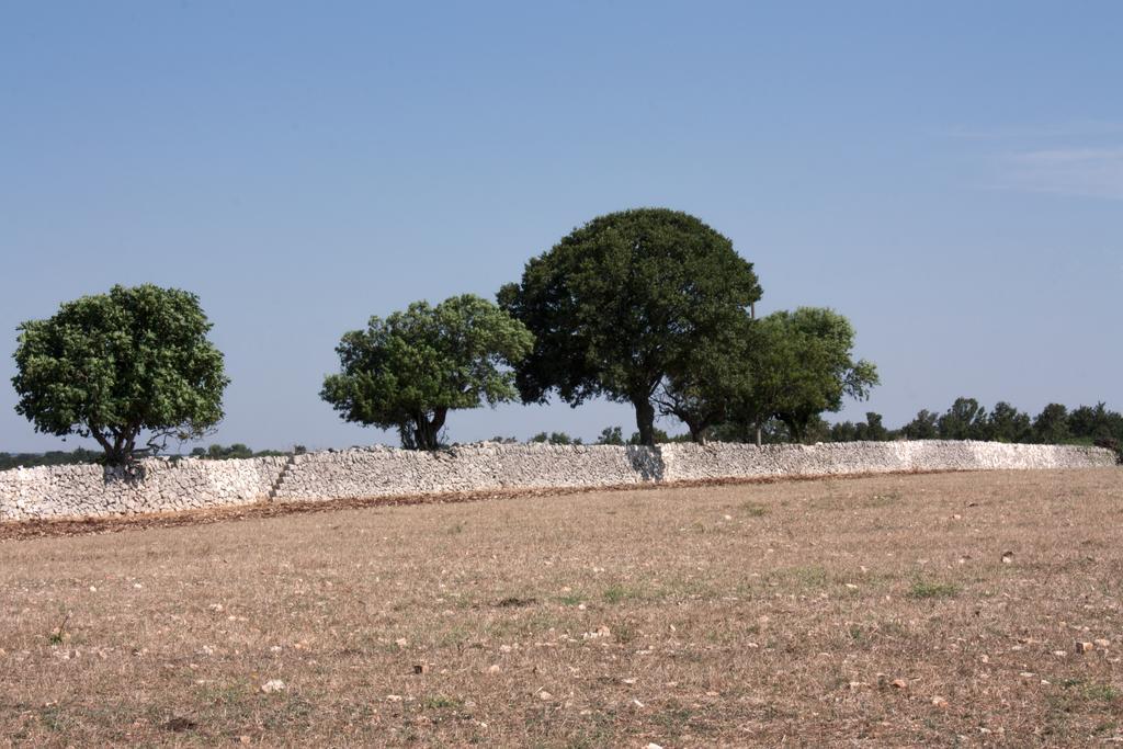 Trulli Sarmenzanello Lejlighed Noci Værelse billede